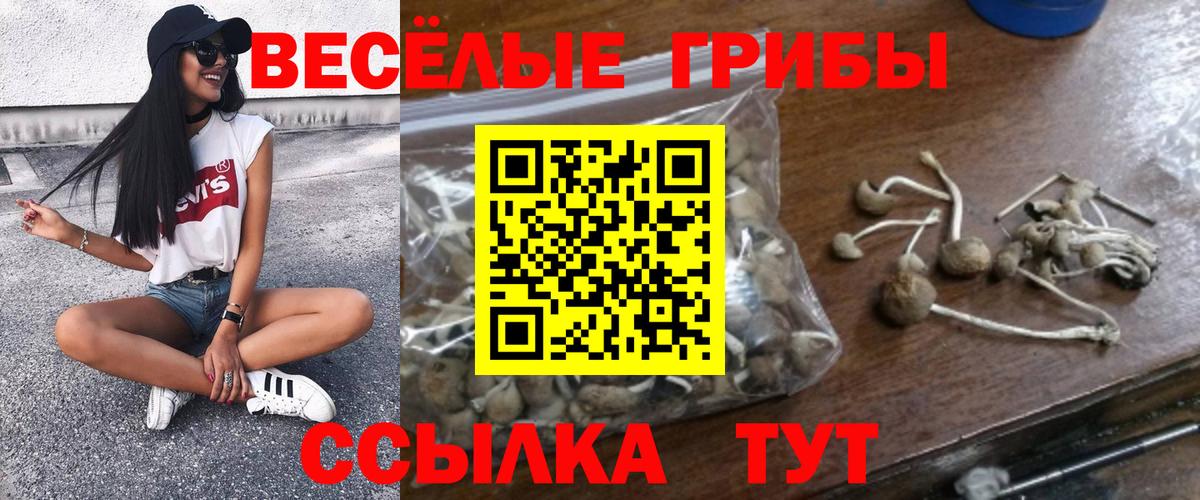 Пенза  Галлюциногенные грибы MAGIC MUSHROOMS  Вход с VPN  Галлюциногенные грибы ЛСД 